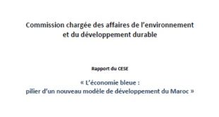 L’économie-bleue-pilier-d’un-nouveau-modèle-de-développement-du-Maroc.jpg